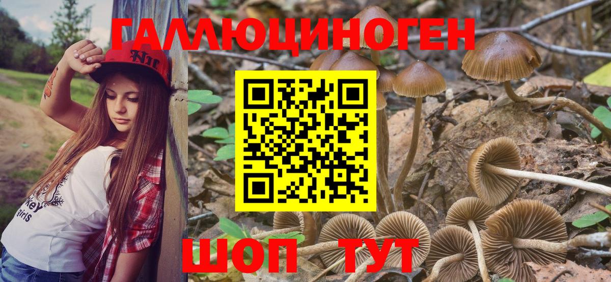 Галлюциногенные грибы мицелий  Псилоцибиновые грибы Cubensis  Вход с VPN  Кстово 